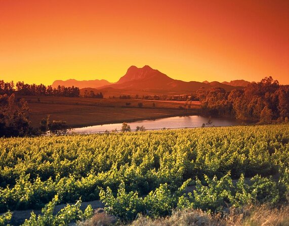 Wine Tour: Paarl, Franschhoek & Stellenbosch incl 3 wineries - How to make the long day work for you (without feeling toasted)
