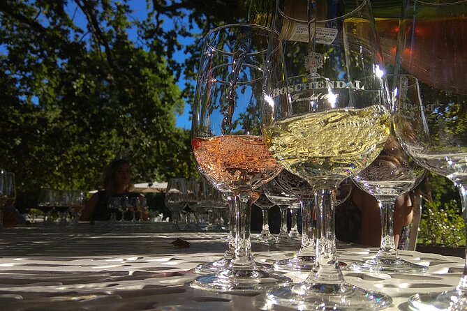 Wine Tour to Stellenbosch & Franschhoek with Tastings & Lunch - Key things I liked on this Stellenbosch and Franschhoek wine tour