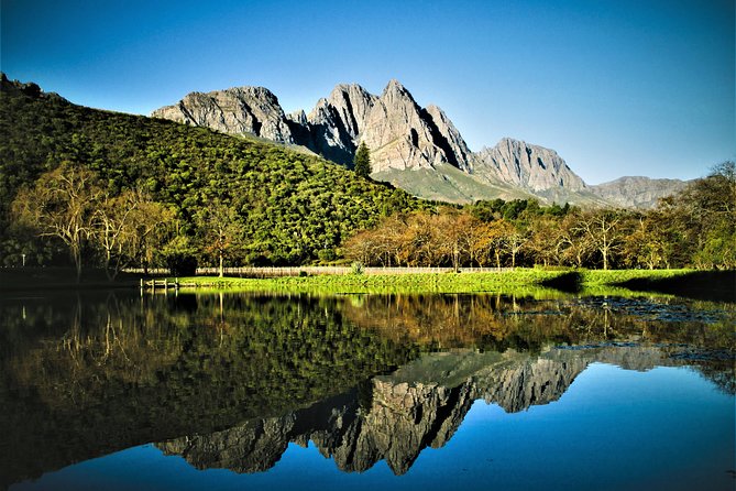 Wine Tour to Stellenbosch & Franschhoek with Tastings & Lunch - Franschhoek lunch at Franschhoek Cellar plus time in town