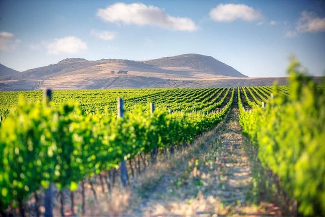 Winelands Full Day Tour - Why this Cape Winelands day works for first-timers