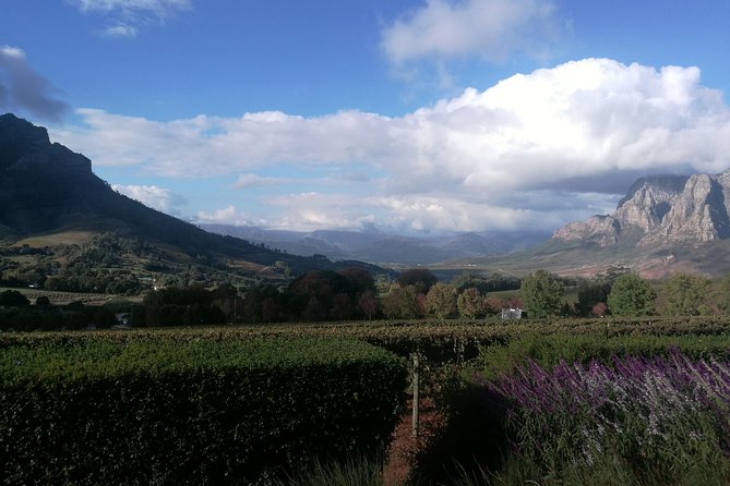 Winelands Full Day Tour - Stellenbosch walk on Dorpstraat: architecture, river valley views, and a breather
