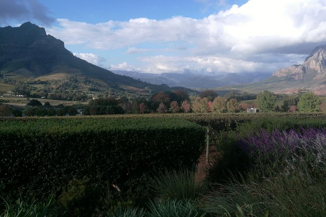 Winelands Full Day Tour - Price and value: is $69.73 a good deal?