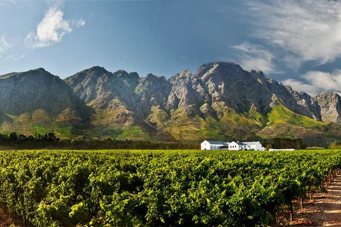 Winelands Full Day Tour - Waterford Estate in Paarl: cellar tour, cheese, and an easy start