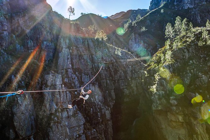 Zip Line and Wine from Cape Town - Cold-Climate Wine Tasting, Where the Flavors Shift