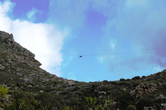 Zipline Cape Town - From Foot of Table Mountain Reserve - The Course: Seven Cables, 11 Platforms, and 155 Meters Above the Canyon