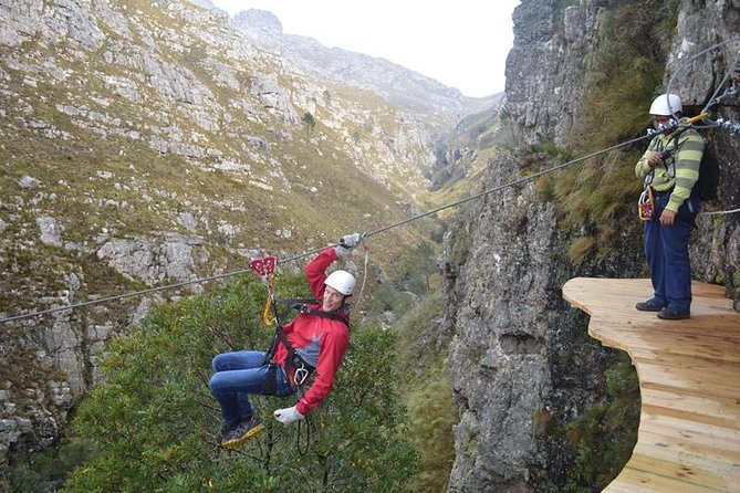 Ziplining Elgin - Key Highlights You’ll Feel Right Away