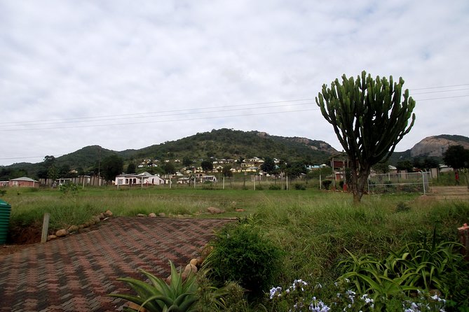 Zulu Cultural Experience - Tour to the village of iSithumba and PheZulu - Durban to the iSithumba valley: the flow of your day