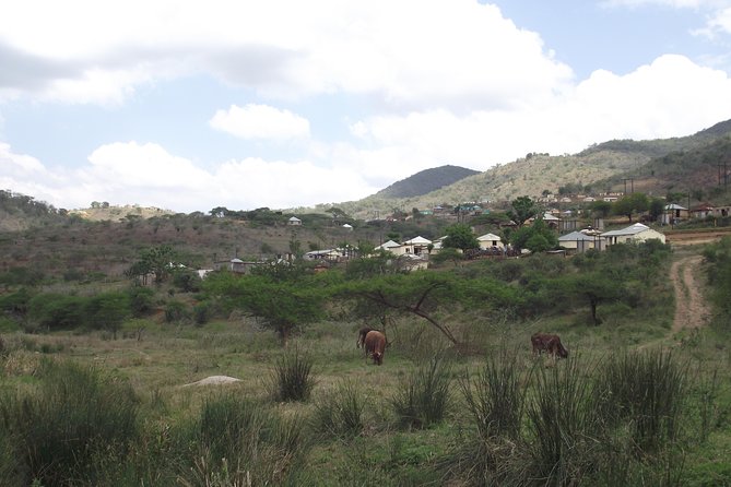 Zulu Cultural Experience - Tour to the village of iSithumba and PheZulu - PheZulu Safari Park: why the dance show lands after the village tour