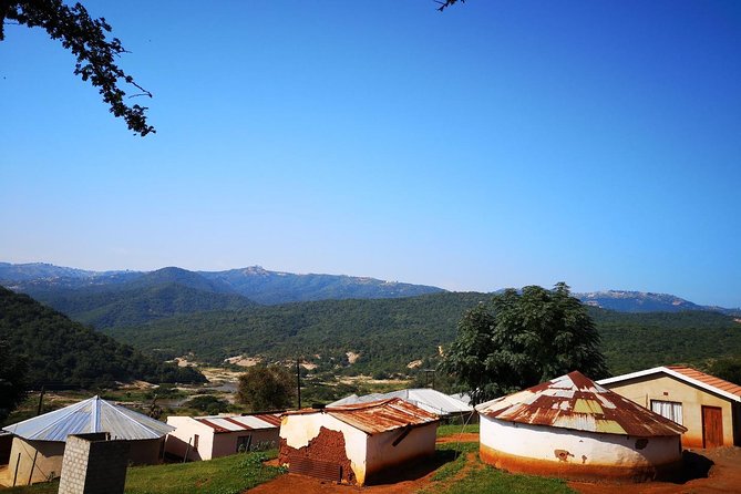 Zulu Cultural Experience: Zulu Village + Tribal Markets + Traditional Zulu Food - Stop 2: iSithumba Adventures, a village walk with a local resident