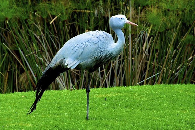 Zululand 5 Day Private Safari from Durban - Day 3 Cape Vidal Game Drive Plus Victoria Market and Durban Promenade