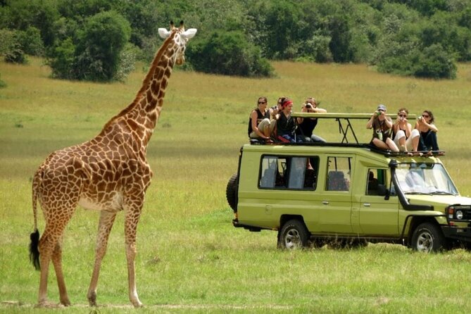 Zululand 5 Day Private Safari from Durban - Day 1 Hluhluwe-iMfolozi Game Reserve: Big Five Safari Before the Heat